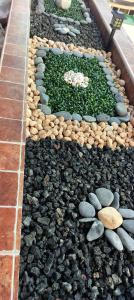 Um jardim em Vv casafaromar oceanfront comfort