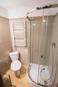 a bathroom with a toilet and a glass shower at Urokliwe Apartamenty w Szczyrku in Szczyrk