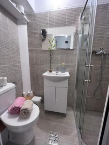 a bathroom with a shower and a toilet and a sink at Downtown apartment in Timişoara