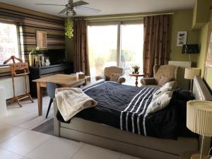 TV a/nebo společenská místnost v ubytování Guesthouse De Witte Merel Deluxe