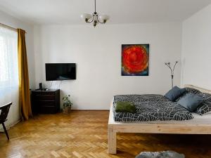 Televízia a/alebo spoločenská miestnosť v ubytovaní Apartmány u Arény Ostrava