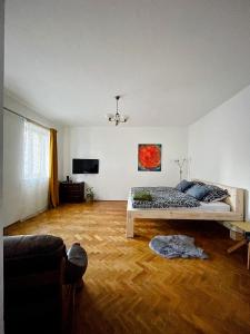 een slaapkamer met een bed in het midden van een kamer bij Apartmány u Arény Ostrava in Ostrava
