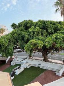 Vonkajšia záhrada v ubytovaní Cozy apartment Costa Adeje