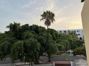 Fotografia z galérie ubytovania Cozy apartment Costa Adeje v destinácii Adeje