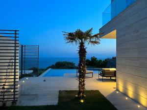 a palm tree sitting on a patio next to a building at Luxury Villa Nova, Pag in Novalja