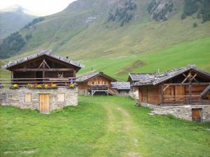 a group of buildings in a field with a mountain at Maison al Lago in Alleghe +14 photos