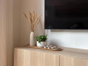 a table with a tv on top of a cabinet with a plant at Sunny apartment with forest view in Juodkrantė