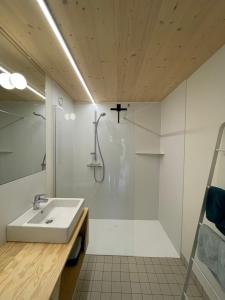 a bathroom with a sink and a shower at Julie's appartement aan zee - JAAZ in Nieuwpoort