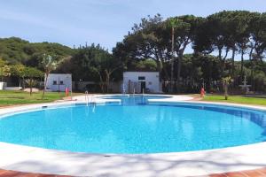 a large blue swimming pool with trees in the background at ALGAIDA BEACHFRONT - Seaview Costa del sol in Sitio de Calahonda