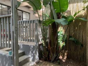 un escalier avec une plante à côté d'une clôture dans l'établissement Comfortable 2-Bedroom place with indoor Fireplace, à Mossel Bay