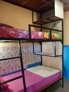 Łóżko piętrowe w pokoju piętrowym z łóżkiem piętrowym w pokoju w obiekcie Salty Dog Hostel w mieście Telukdalem