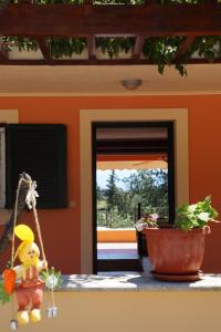 a teddy bear sitting on a counter next to a plant at StarLight SeaView in Gouvia