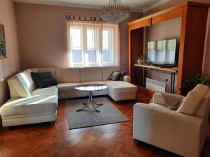 a living room with a couch and a table at Apartman Soda in Ogulin