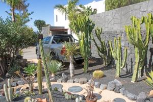 een tuin van cactussen en planten voor een auto bij Villa Panoramica in Yaiza