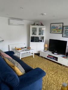 a living room with a blue couch and a tv at Lindas LODGE Free PARKING air con plus provisions included in Hove