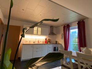 a kitchen with a plant in the middle of a room at Moderne Ferienwohnung Seeblick in Freudenberg