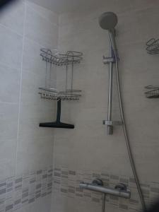 uma casa de banho com um chuveiro com prateleiras em Charmante longère près des côtes Finistériennes em Plouégat-Guérand