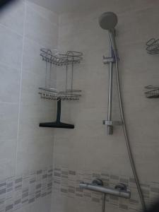 a bathroom with a shower with shelves in it at Charmante longère près des côtes Finistériennes in Plouégat-Guérand +10 photos
