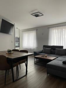 TV a/nebo společenská místnost v ubytování Appartement Wonder 2 au centre de Couvet