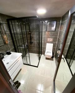 a bathroom with a shower and a sink and a toilet at Nova bungalov in Çamlıhemşin