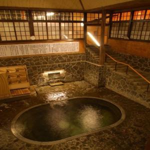 Fujisan Ryokan tesisinde bir banyo