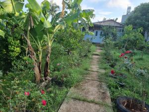 un jardín con plátanos y un camino de tierra en Homestay Sen & Zen Villa Vũng Tàu en Vung Tau