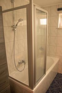 a shower with a glass door in a bathroom at Ferienwohnung der Familie Rauch in Mühlhausen