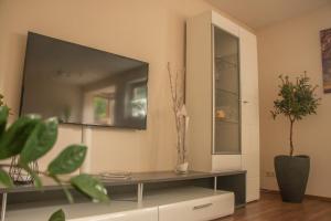 a living room with a large flat screen tv on the wall at Ferienwohnung der Familie Rauch in Mühlhausen