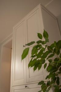 a white cabinet with a plant in front of it at Ferienwohnung der Familie Rauch in Mühlhausen