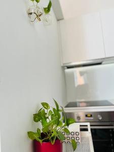 Cucina o angolo cottura di Sweet Life House Rome Cavour