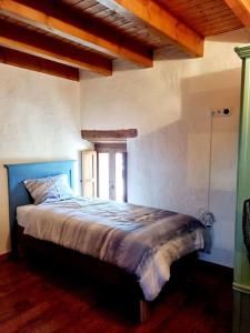 a bedroom with a bed with a blue head board at Acogedora casa del siglo XIX 