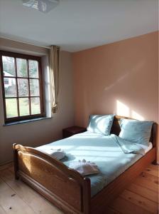 a bedroom with a bed with blue pillows and a window at Auberge au pont de Villettes in Lierneux