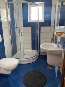 a bathroom with a shower and a toilet and a sink at Pensiunea Contesa in Sovata