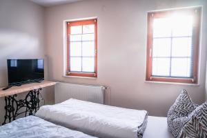 1 dormitorio con 1 cama, TV y 2 ventanas en Apartment am Markt, en Aschersleben
