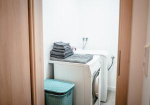 a laundry room with a washer and dryer at Apartment am Markt in Aschersleben +2 photos