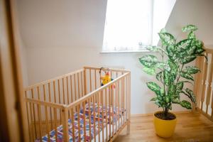 Fotografie z fotogalerie ubytování Ferienwohnung Stiegelbauer Zirbe v destinaci Gleinstätten