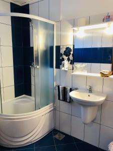a bathroom with a shower and a sink at Pensiunea Contesa in Sovata