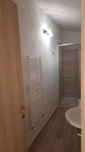 a bathroom with a shower and a sink and a toilet at Fewo Sole e Azzurro in Capoliveri
