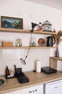 a kitchen counter with a laptop and a bird cage on it at Bohome studio sa terasom - FREE PARKING in Vranje