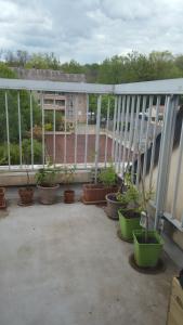 einen Balkon mit Topfpflanzen und einem weißen Geländer in der Unterkunft Cosy Nest in Limoges