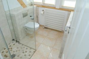La salle de bains est pourvue de toilettes et d'une douche en verre. dans l'établissement Urlaub beim Winzer, Ferienwohnung 2 mit Balkon, à Neustadt an der Weinstraße