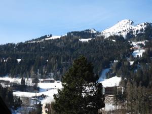 Fotografia z galérie ubytovania Haus Alpengold v destinácii Bad Hofgastein