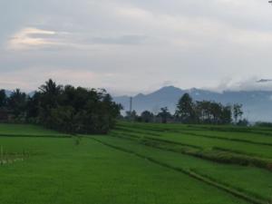 ein grünes Feld mit Bäumen und Bergen im Hintergrund in der Unterkunft Adinda Syariah C-10 Bukit Gardenia Resort in Tarogong