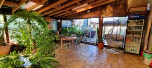 DNT HOUSE & Spa في Cîrcea: غرفة مليئة بالكثير من النباتات وطاولة