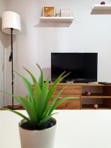 uma sala de estar com um vaso de plantas e uma televisão em Fenix Apartman em Zaječar