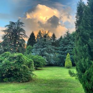 un patio verde con árboles y un campo con dos árboles de Navidad en La Casona Azul, espectacular palacio indiano, en Corvera 70 fotos más