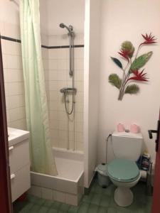 uma casa de banho com um chuveiro, um WC e um lavatório. em Le Pillow Rit em Nantes