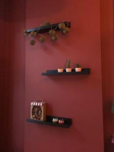 a red wall with two shelves with plants and a clock at Le Pillow Rit in Nantes