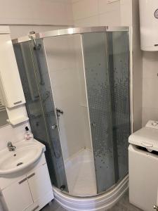 La salle de bains est pourvue d'une douche et d'un lavabo. dans l'établissement Duga Apartments, à Novi Sad