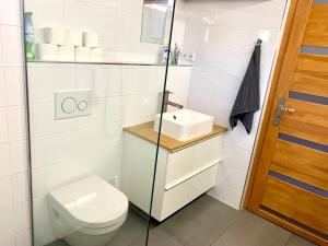 Koupelna v ubytování Apartmány Horní Blatná